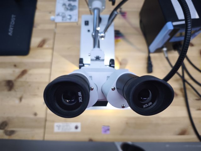 Stereomikroskoop OPTIKA ST-50Led