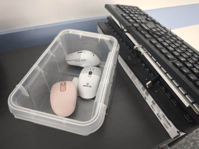 Mice and keyboards